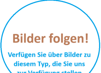 Suche Bilder zu diesem Typ
