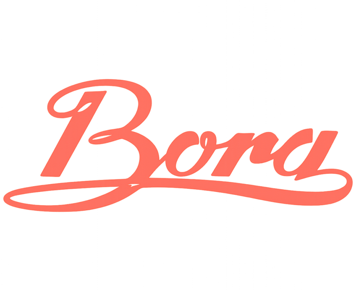 Bora Schriftzug - vektorisiert from klassik-boote.de